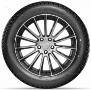 225/75 R16 115/112Q DoubleStar DW01
