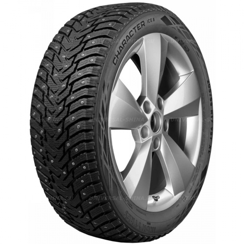 195/65 R15 95T Ikon / Nokian Tyres Character Ice 8 XL - 1